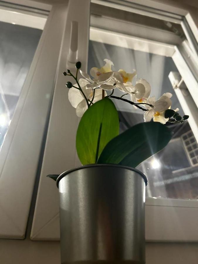 Lvm Apartments ซาเกร็บ ภายนอก รูปภาพ